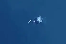 美防长刚说震慑中国，爆炸声在中国航母旁响起，渤海一炸让美破防图片