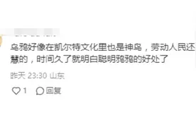 乌鸦才是祥瑞的代表？网友：这么多年我们误会乌鸦了？图片