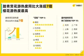 飞猪发布《2024清明假期出游风向标》 重庆出境游预订量同比增长超2倍图片