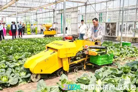 重磅！3大蔬菜产业地图、10大机械化创新成果正式发布！5大亮点独家分享！图片