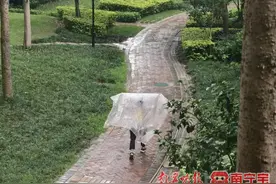 雨水“天天见”！雷阵雨爱午后“翻牌”某个局部地区图片