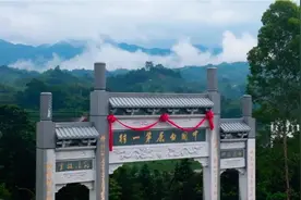 中国白茶第一村，凭什么是它？图片