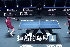 幸好国乒缺席！印度赛卫生状况再现熟悉情节，张本智和近距离感受图片