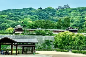 《世界遗产·大丝绸之路展》 日本巡展第四站（四国）对观众开放图片