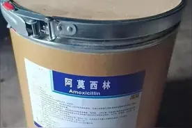 “硫酸安普霉素+阿莫西林”配伍的药效增强作用!图片