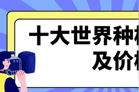 十大世界种植体品牌及价格,前三是瑞士iti/瑞典诺贝尔/瑞典astra图片