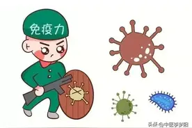 免疫力低？别乱用玉屏风颗粒！身体有自带的“天然免疫按钮”图片