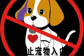不要脸的行为是不是该给她点教训呢？图片