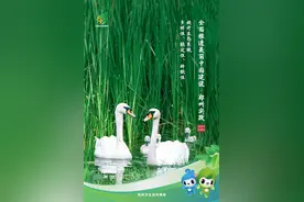 【六五环境日】主题海报来了！④图片