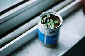 女人，请不要破坏自己身上的上等风水：别对老公做这两件事图片
