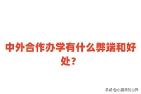 中外合作办学有什么弊端和好处？与普通大学的区别是什么？图片