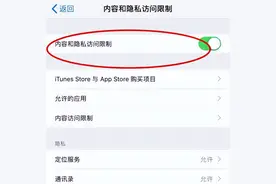 苹果 iPhone15 Pro如何设置应用加密？图片