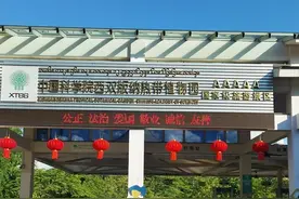 国庆节游西双版纳（五）中国科学院植物园，植物的百科全书！图片