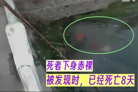 漂亮主妇陈尸湖中，只因一个50元的花瓶！回顾湖北天门2013年大案图片