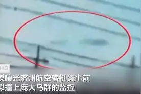“比机身大10倍”，韩国客机失事前疑撞上鸟群画面曝光：或有上千只鸟黑压压飞来图片