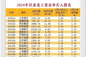 2024年以来北向资金净买入排名+四家被外资抱团股一览图片