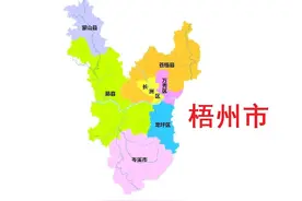广西梧州市7县(市、区)概况图片