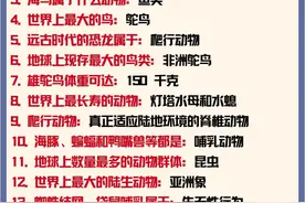 110条动物百科常识图片