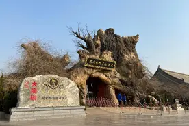 600年前的明朝大移民，812个姓氏从洪洞大槐树下出发，看有你姓没图片