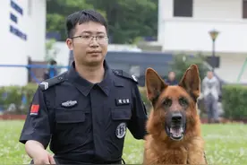 征集领养人！观山湖公安首批退役警犬开放领养图片