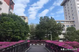 博士:毕业时候年龄越大越不值钱，大龄博士难就业图片