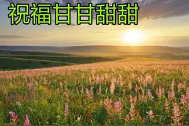 人要学会去欣赏平平淡淡的生活，每个人走的路原本就不一样图片