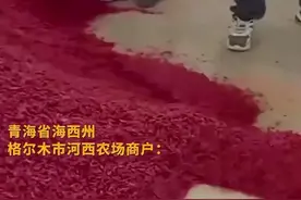 良心何在？央视曝光毒食品加工过程，大家常吃，官方严令彻查此事图片