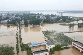 河南唐河：众志成城抗汛情，携手并肩筑安澜图片
