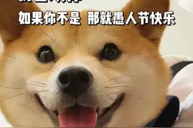 四月一号（愚人节）这么发，朋友圈会被翻烂图片