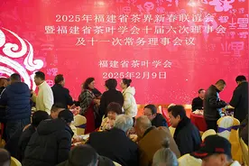 福建省茶界举办2025年新春联谊会 共话闽茶发展图片
