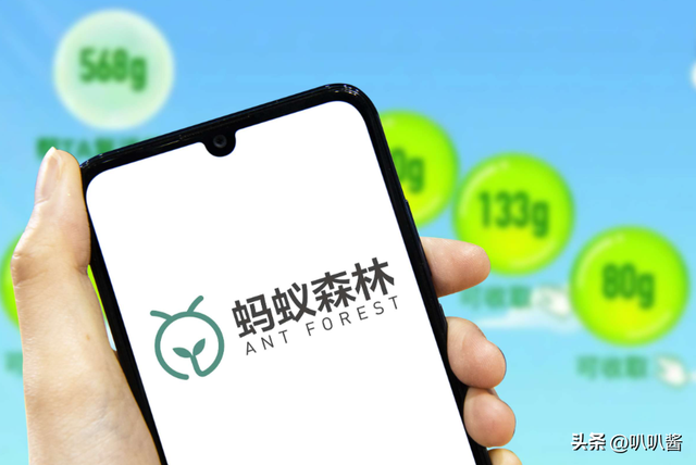马云斥巨资在沙漠里种树，承诺每年1亿棵，10年过去了，情况如何