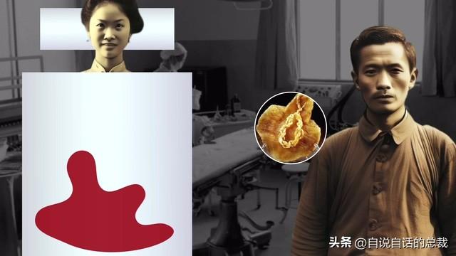 南澳鱼胶 2026年南澳鱼胶批发市场地址