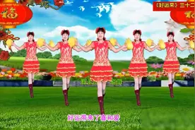 中老年快乐健身广场舞《好运来》三十二步花球舞图片