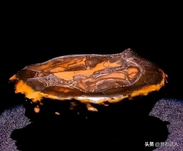 2026春季阿拉善玉·观赏石文化旅游活动盛大启幕，精品奇石欣赏