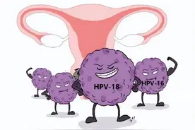 HPV疫苗：为什么早“二价”比晚“九价”好？图片