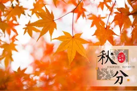 后天秋分，秋分不养，一年白忙！体虚的人一定要抓住这黄金15天！图片