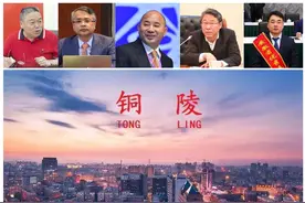 安徽铜陵第一大制造业民企：营收212亿，力压精达，远甩一众企业图片