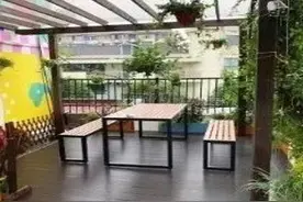 升级啦！普陀这的天台农场2.0版惊艳亮相图片