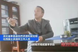 央视追问“保命田”，湖北巨资建成的13966亩稻田为何种上光伏板图片