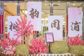 浦东六镇联动，奉上“桃花大餐”图片