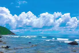 【纯音汇】清幽淡雅，古琴禅音《轮回》加长版，静心养心 安神助眠图片