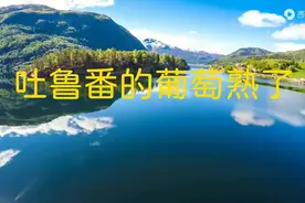 百听不厌！纯音乐《吐鲁番的葡萄熟了》民乐协奏加长完整版图片