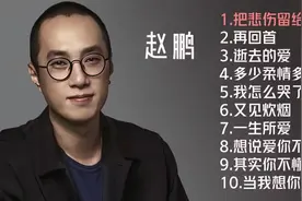 【美·听】赵鹏十首翻唱歌曲 无损音质-人肉低音炮烟嗓-车载U盘歌曲图片