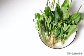 车前草是个宝，很多人都不知道有什么用，看完长见识了图片