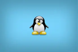 Linux命令那么多，其实只需要记住这些就足够了！图片