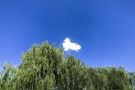 胸中有墨，妙语连珠。图片