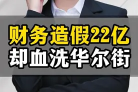 中国资本血洗华尔街图片