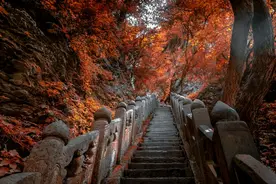 《登高》杜甫图片