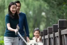【亲密误区】与宠物“同睡”引发的可怕后果，我亲身经历的教训！图片