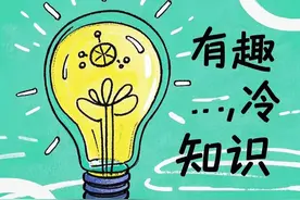 有趣但没用的冷知识大全图片